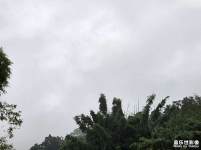 【時光留痕】山野