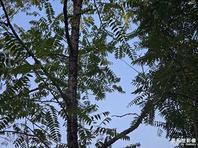 【時(shí)光留痕】人與自然