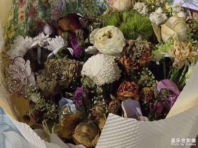 【時(shí)光留痕】秋意