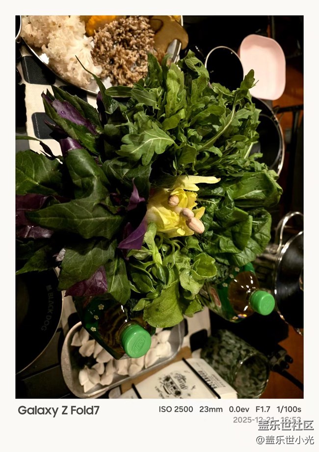 沈陽星部落冬日露營暨Fold7品鑒活動回顧