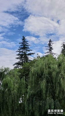 【時(shí)光留痕】+記錄生活