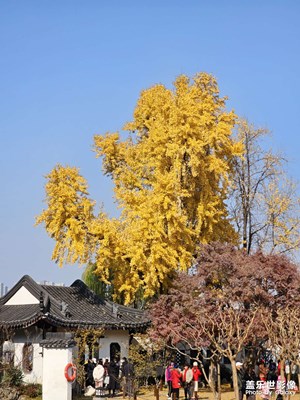 【時(shí)光留痕】短暫的秋天