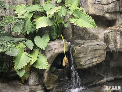 【時(shí)光留痕】年初時(shí)光