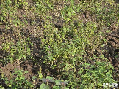 【時(shí)光留痕】戶外運(yùn)動(dòng)