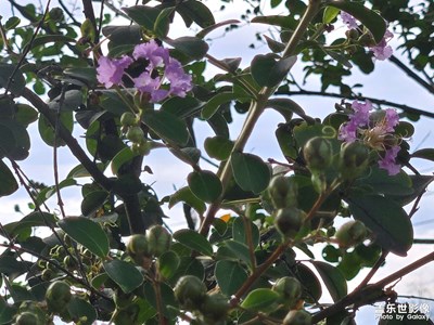 【時(shí)光留痕】時(shí)光已過