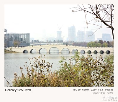 Galaxy S25 Ultra 鏡頭下的十一孔橋