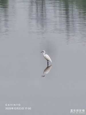 【時光留痕】散步隨拍