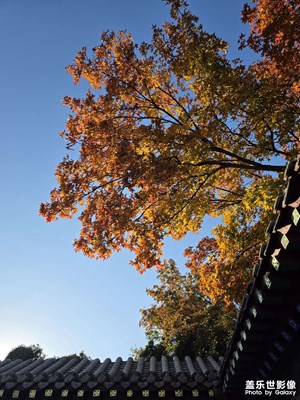 【框住美好】難忘秋色