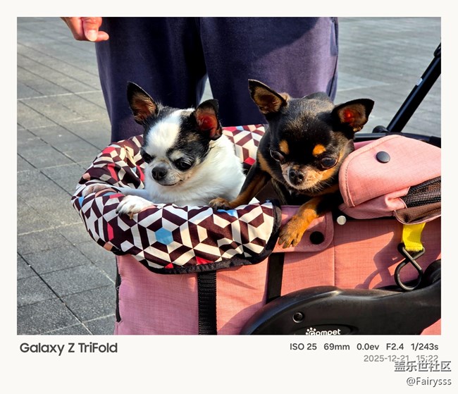 Galaxy Z TriFold隨手拍
