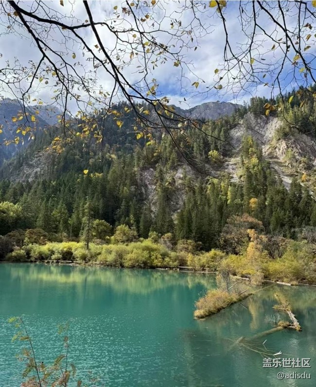 【告別2025】秋季九寨溝