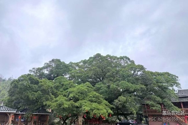 【告別2025】沿途的風景