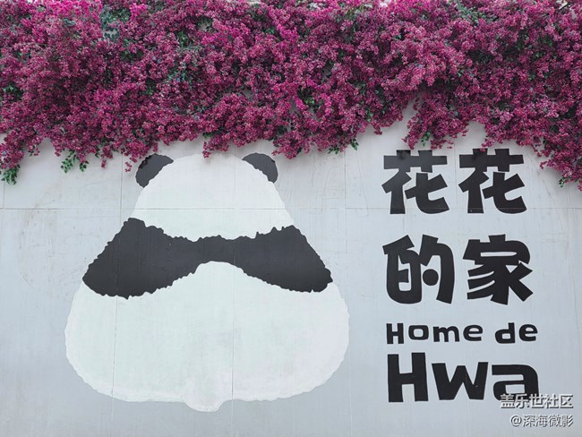 【告別2025】那些記憶瞬間