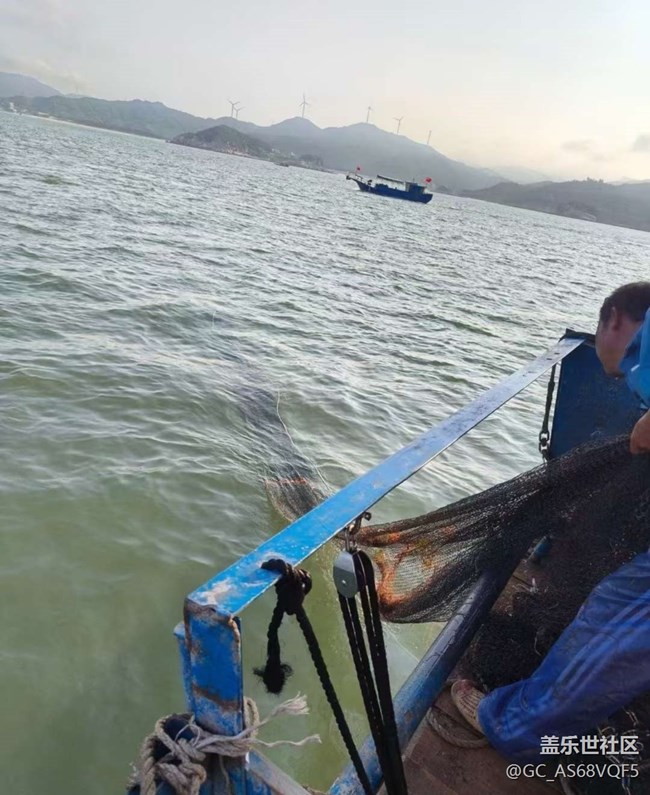 【告別2025】出海