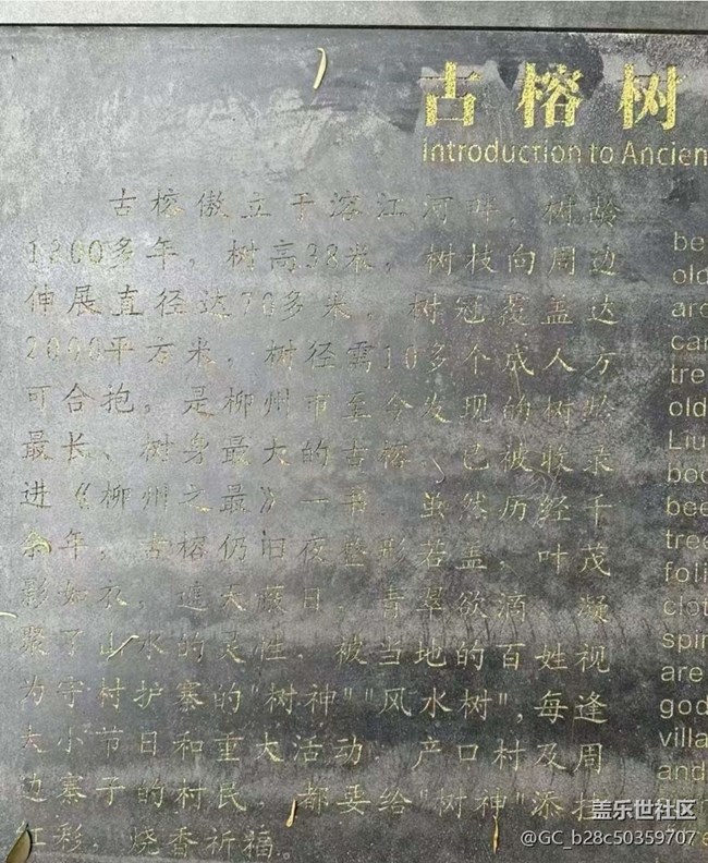 【告別2025】沿途的風景