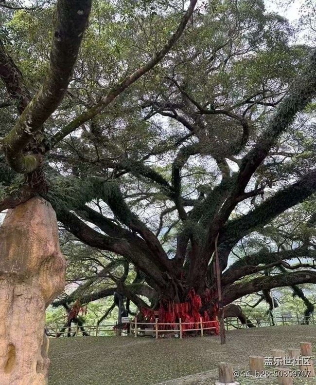 【告別2025】沿途的風景