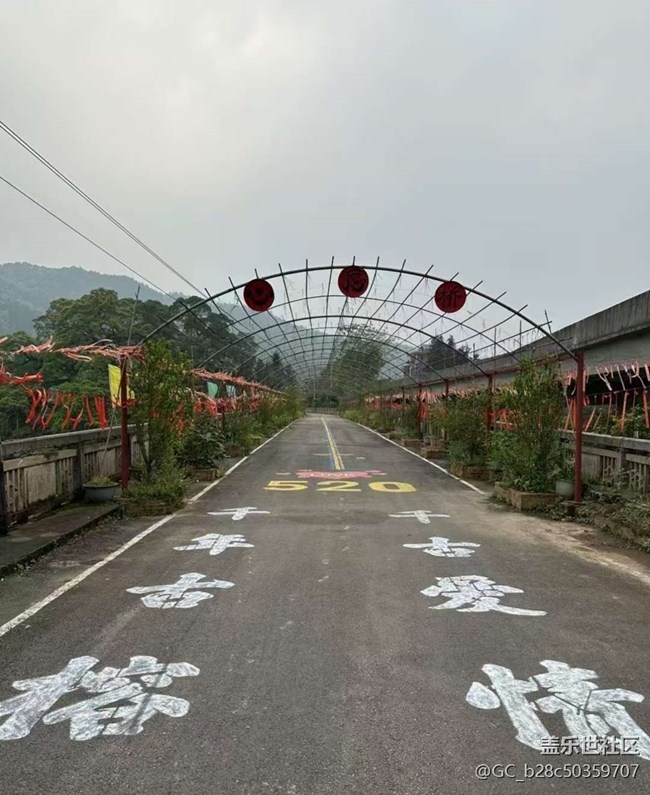 【告別2025】沿途的風景