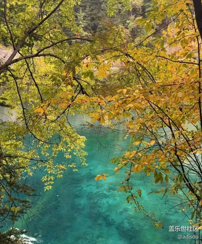 【告別2025】秋季九寨溝