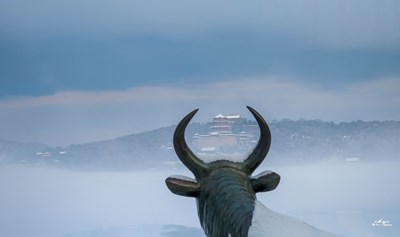 Galaxy S23 Ultra 雪后初霽（二）