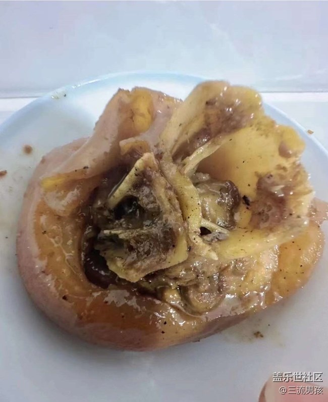 【告別2025】回鄉(xiāng)