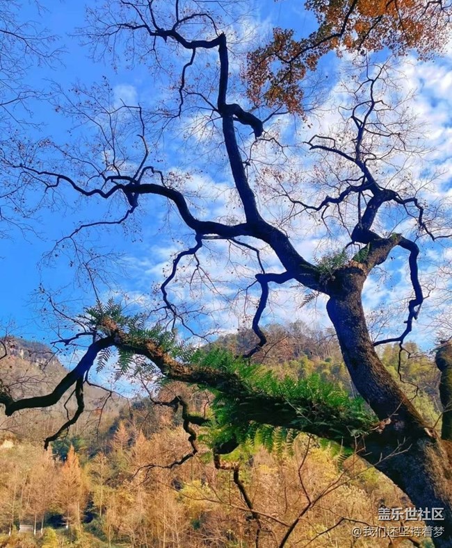 【告別2025】周末時(shí)光