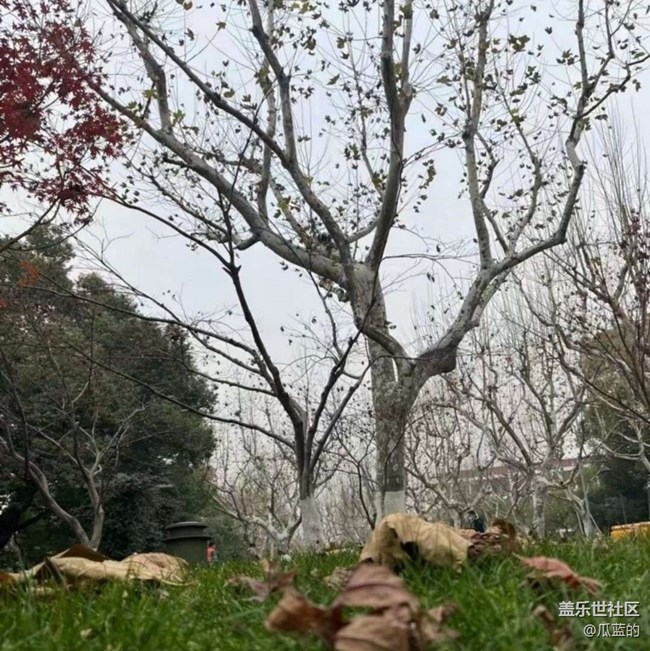 【告別2025】初冬游湖