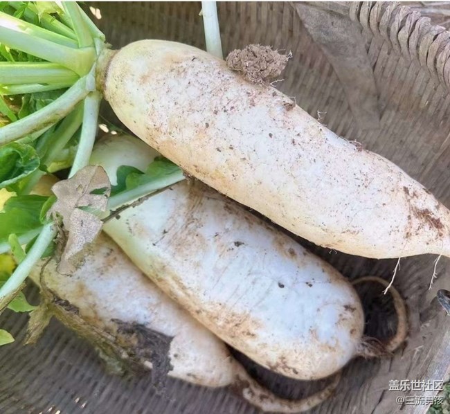 【告別2025】回鄉(xiāng)