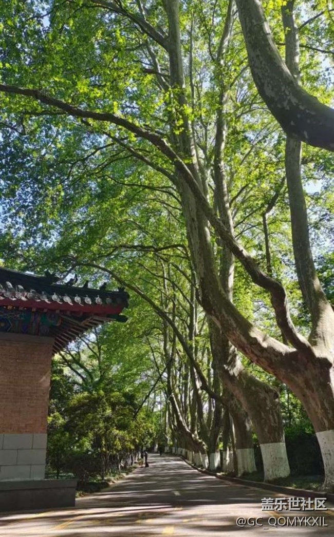 【告別2025】去南京