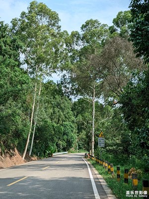 【框住美好】+2025隨記