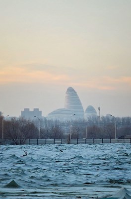 【攝影版塊一月第一周】以光影，敬新年