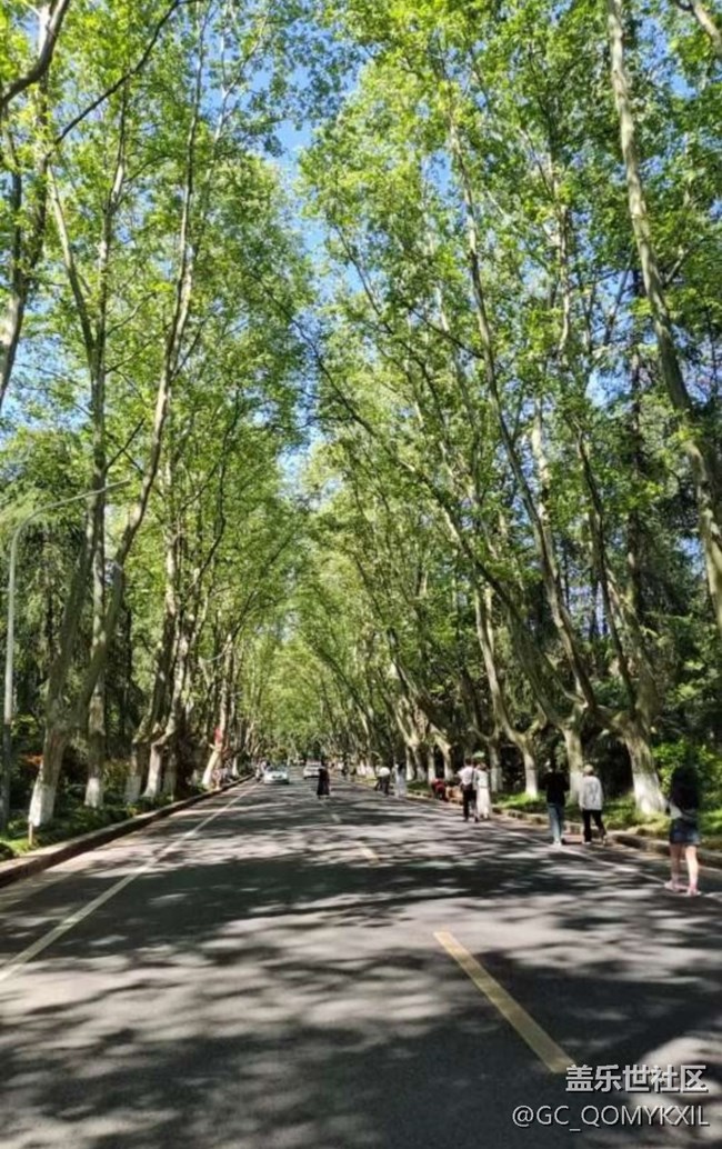 【告別2025】去南京