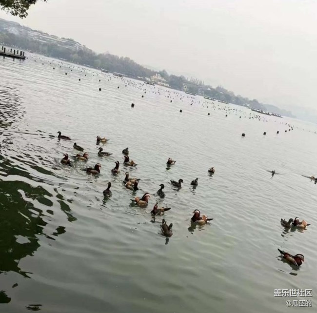 【告別2025】初冬游湖