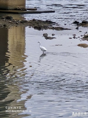 【框住美好】和諧共生