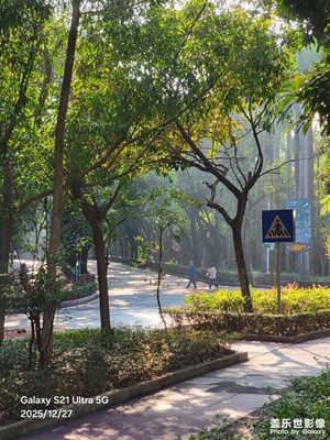 【框住美好】周末隨手拍