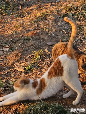 【框住美好】瞬間