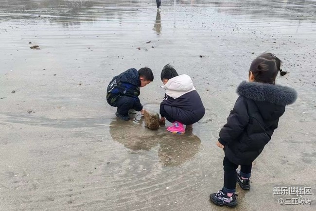 【告別2025】看海