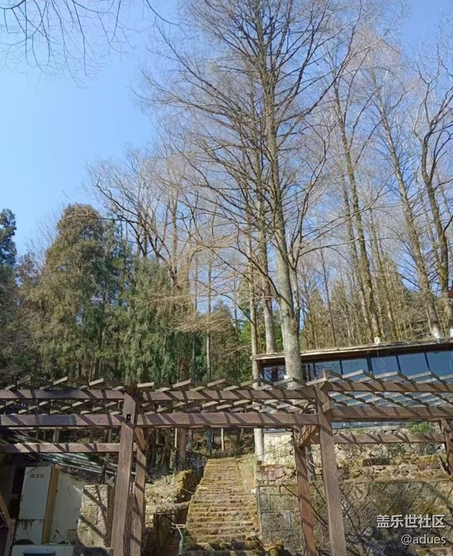 【告別2025】回歸自然