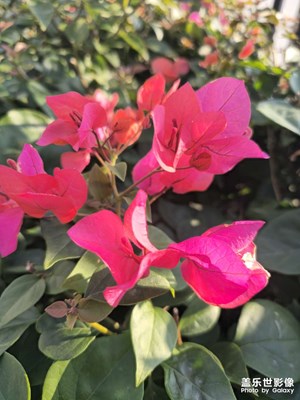 如果不靠AI的話，理論最遠(yuǎn)可以拍多遠(yuǎn)