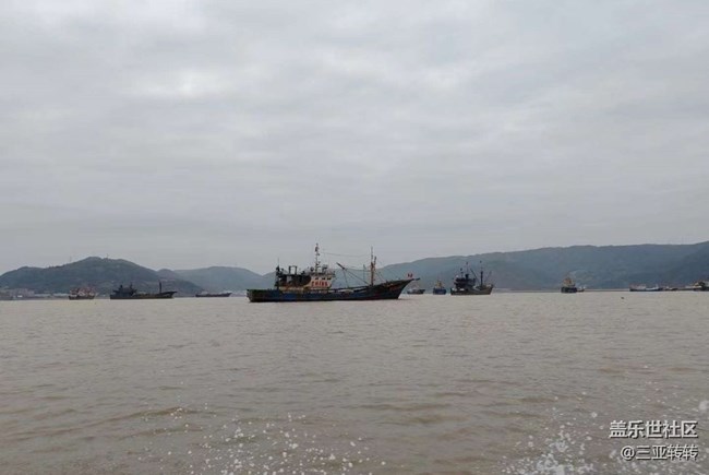 【告別2025】看海