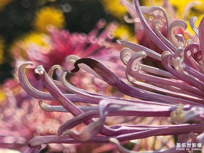 【框住美好】2025的那些美好瞬間