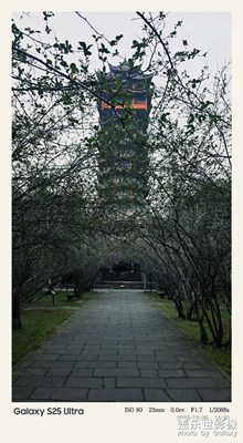 【框住美好】重游塔子山