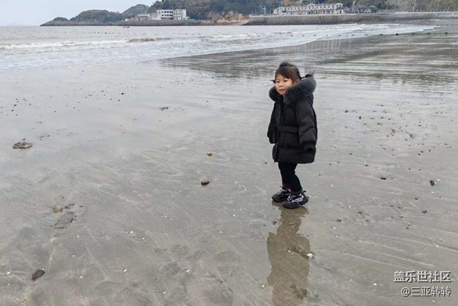 【告別2025】看海