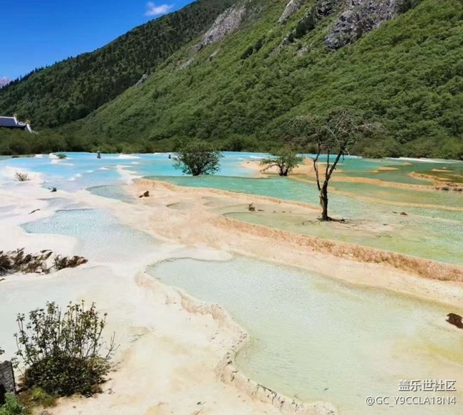 【告別2025】四川行