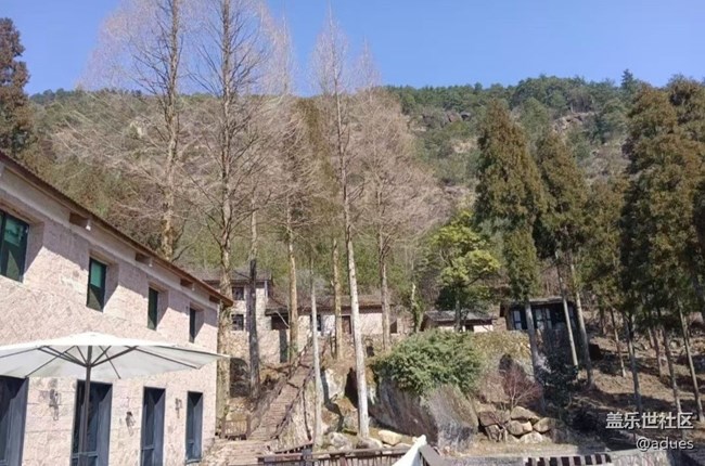 【告別2025】回歸自然