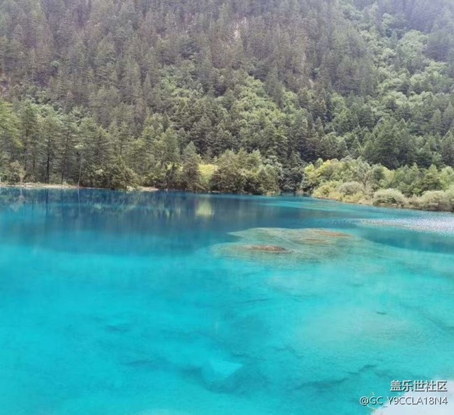 【告別2025】四川行