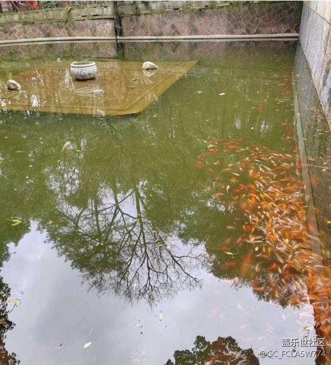 【告別2025】春游