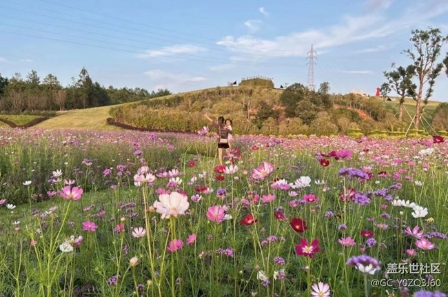 【告別2025】回家看看