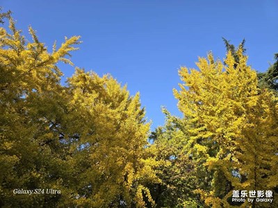 生活就該有些陽(yáng)光，有點(diǎn)自由，還有一些花朵