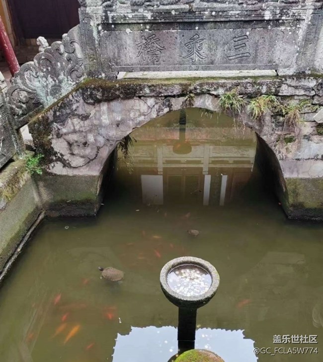 【告別2025】春游