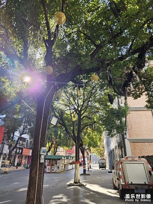 【框住美好】+陽(yáng)光