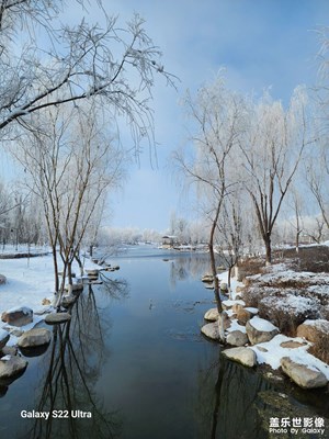 【框住美好】冬日小景
